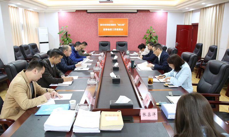 坚持问题导向推动巡视整改落实落地