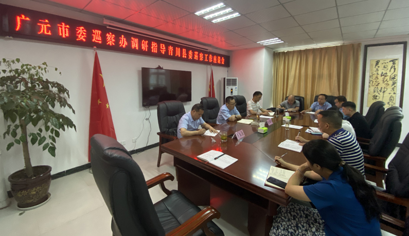 做到“四个坚持”    提升巡察质效