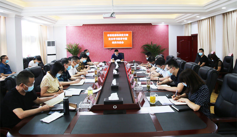 市委巡察机构党支部召开党史学习教育专题组织生活会