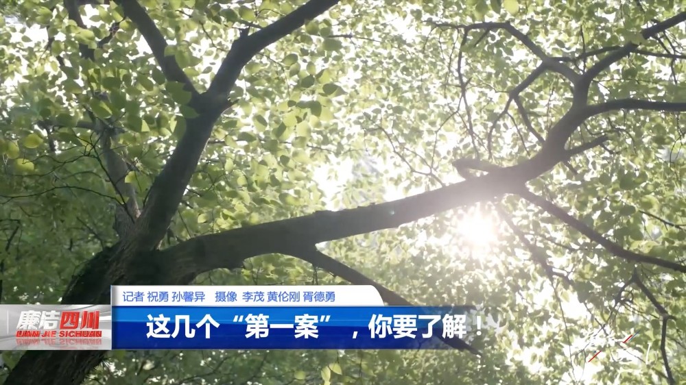 第324期《这几个“第一案”，你要了解！》