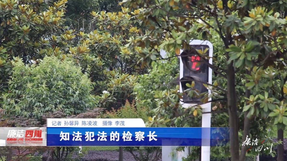 第329期《知法犯法的检察长》
