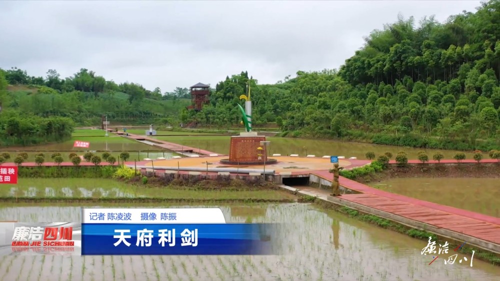 第338期《天府利剑》