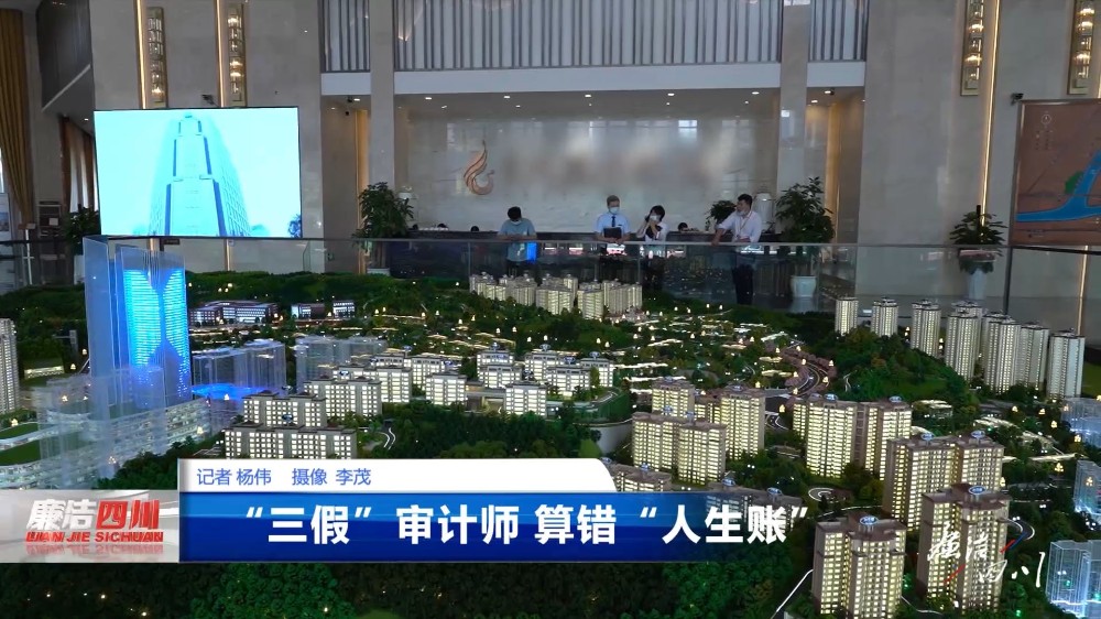 第341期《“三假”审计师 算错人生账》 