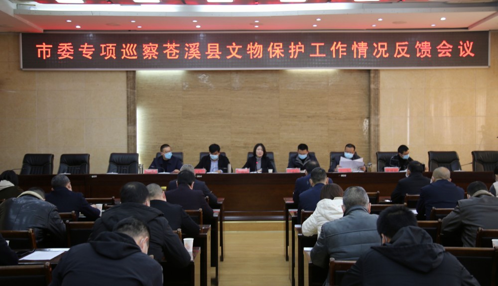 市委专项巡察苍溪县文物保护工作情况反馈会召开