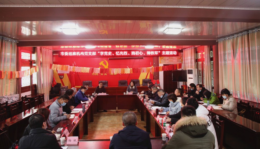市委巡察机构党支部开展“学党史、忆先烈、践初心、铸铁军”主题党日活动
