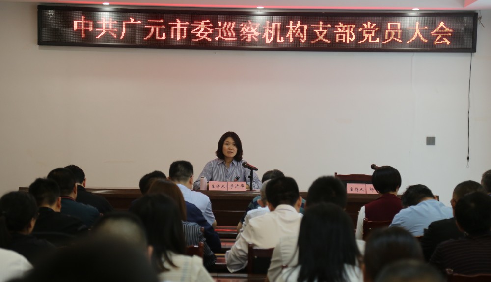 发扬大茅坡精神  奋进巡察新征程