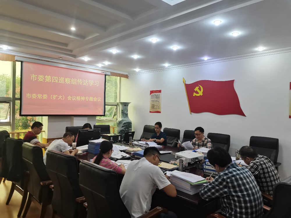 市委第四巡察组.jpg
