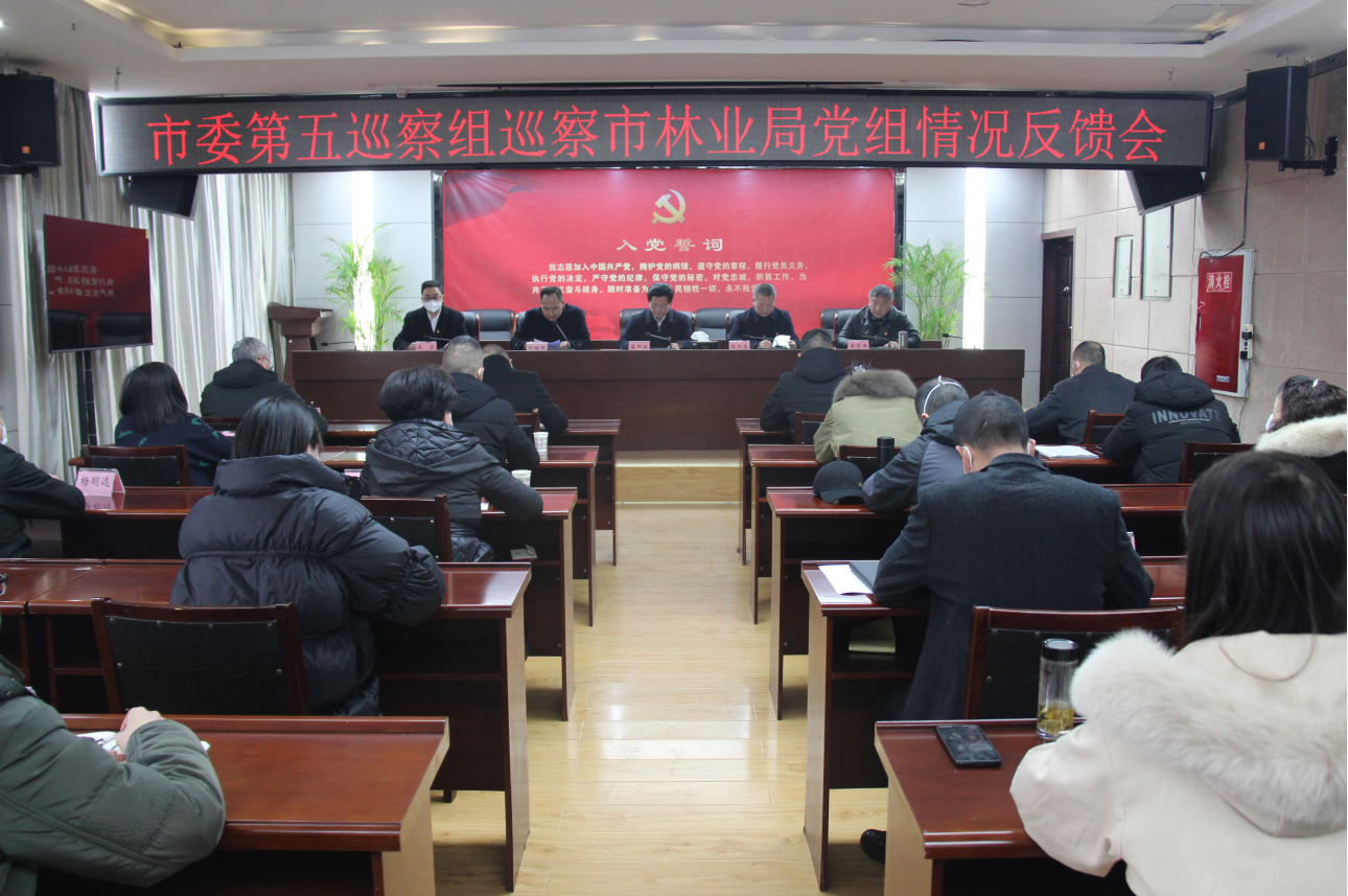 图片1：市委第五巡察组向市林业局反馈情况.png