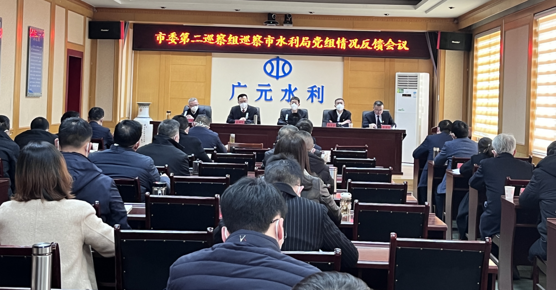 图片3：市委第二巡察组向市水利局反馈情况.png