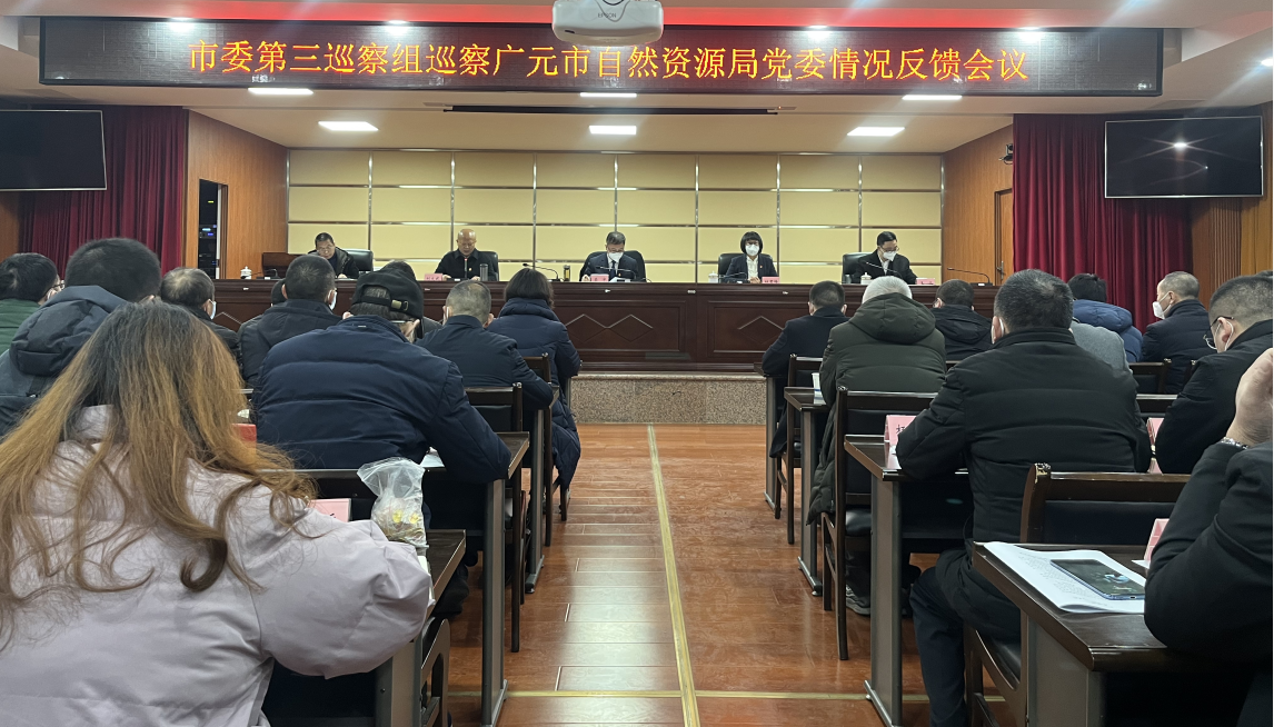 图片5：市委第三巡察组向市自然资源局反馈情况.png