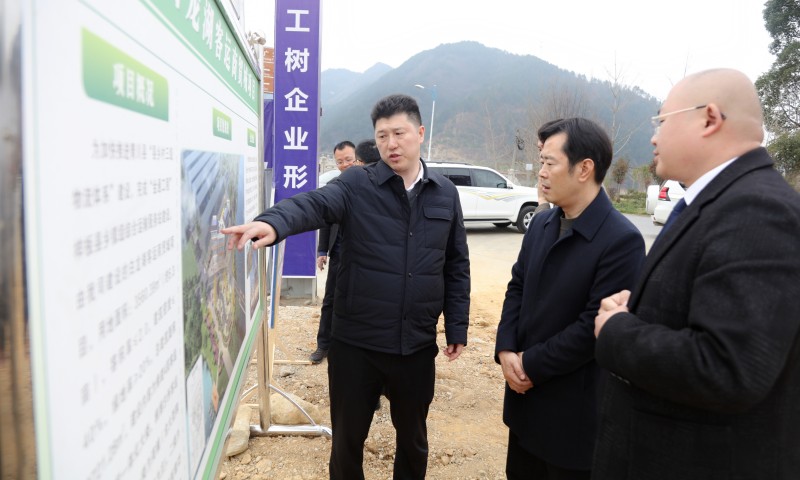 沙州镇查看在建项目安全生产工作_副本.jpg