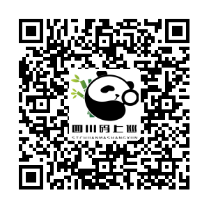 提级信访反映码.png