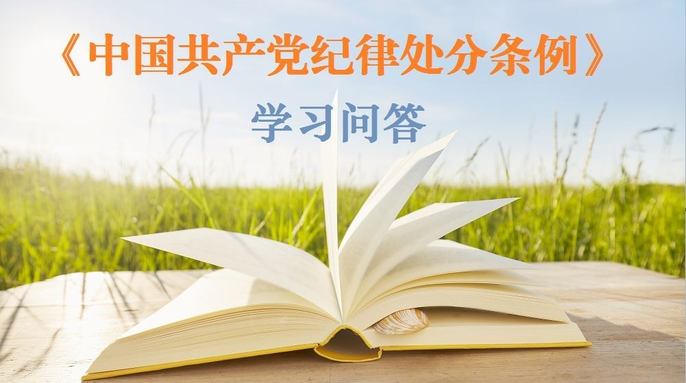 学习问答