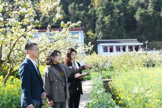 苍溪县：工作指引 提升“末梢监督”质效