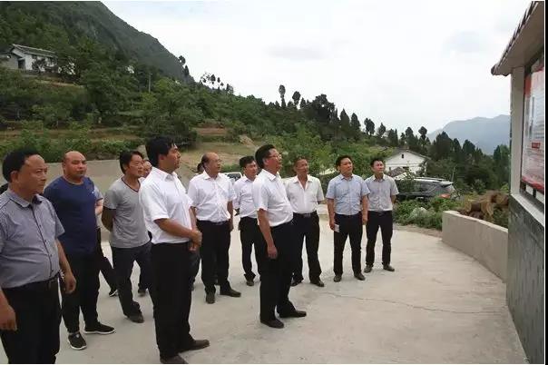微信图片_20180604091109.jpg