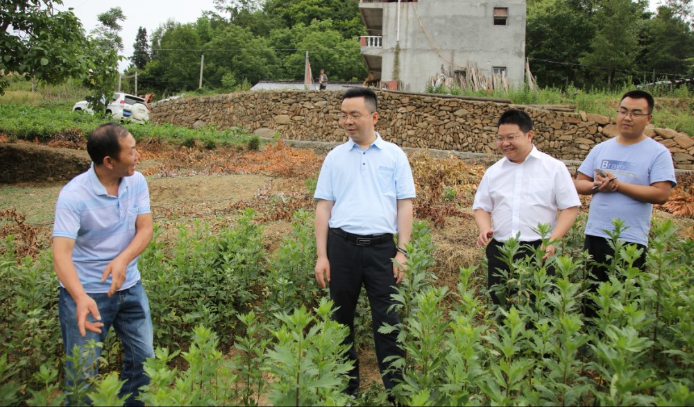 2021060921094604.jpg Screenshot_20210609_210721_com.huawei.photos_edit_57288490661048.jpg