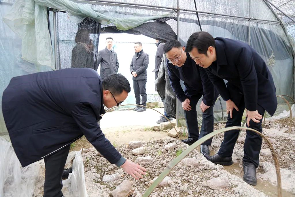 2022020810391402.png 2022020810391402.png