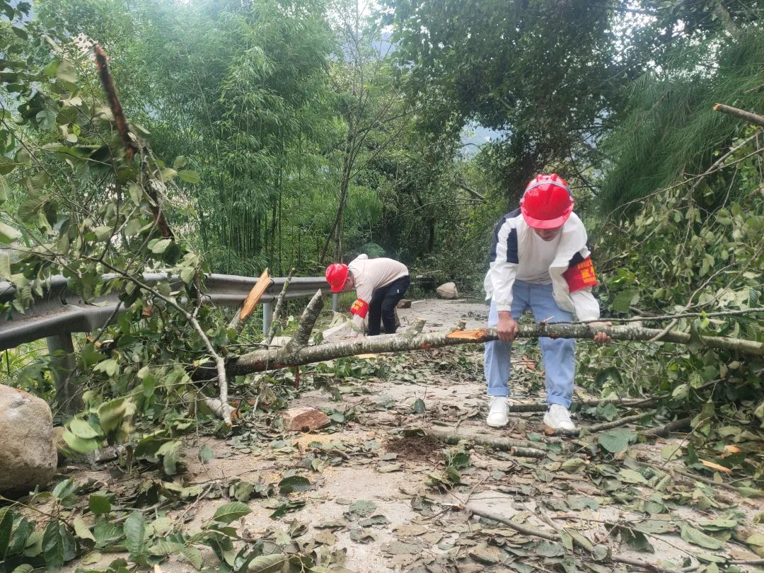 2022091510131305.png 2022091510131305.png