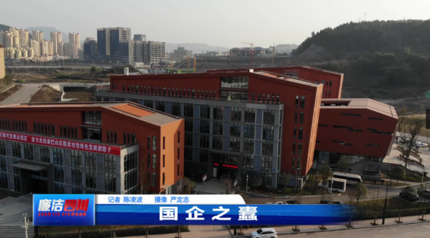 第233期《国企之蠹》