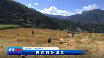 第234期《失踪的补助金》
